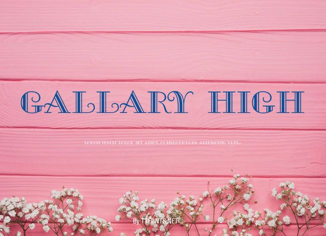 Gallary High example