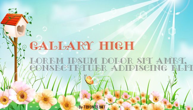Gallary High example