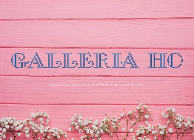 Galleria Ho example