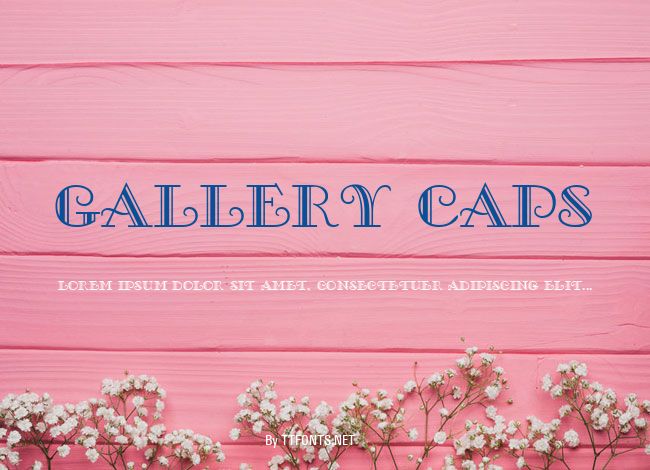 Gallery Caps example