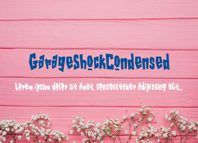 GarageShockCondensed example
