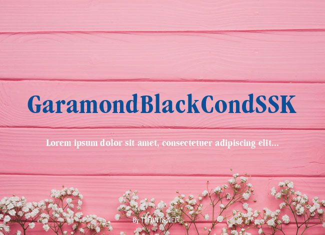 GaramondBlackCondSSK example