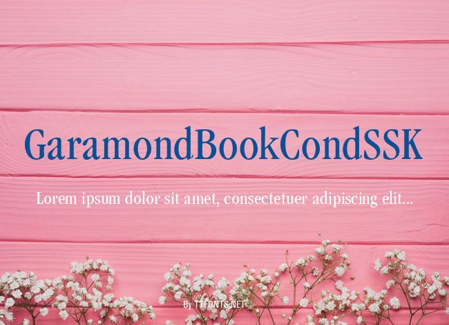GaramondBookCondSSK example