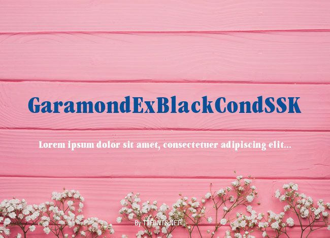GaramondExBlackCondSSK example