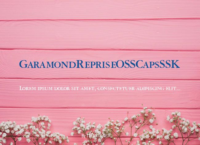 GaramondRepriseOSSCapsSSK example