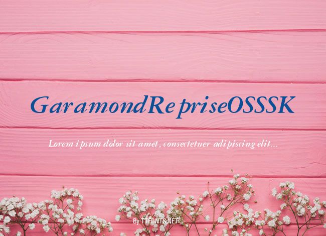 GaramondRepriseOSSSK example
