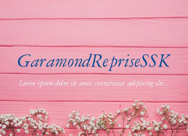 GaramondRepriseSSK example