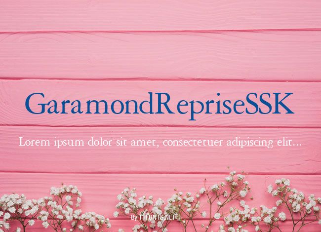 GaramondRepriseSSK example
