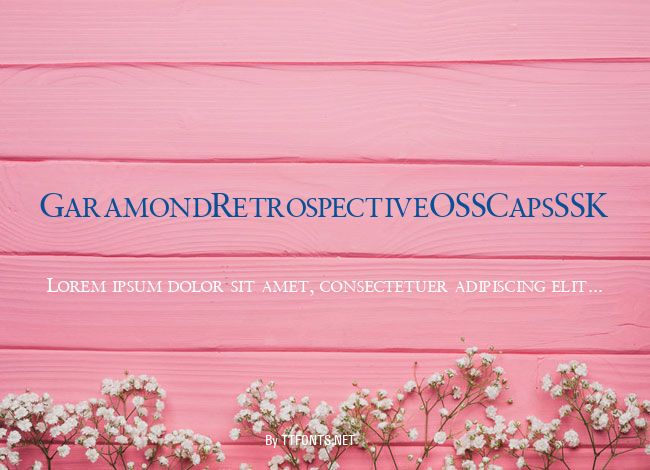 GaramondRetrospectiveOSSCapsSSK example