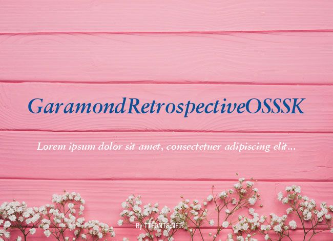 GaramondRetrospectiveOSSSK example