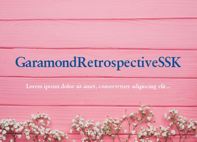 GaramondRetrospectiveSSK example