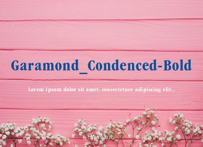 Garamond_Condenced-Bold example
