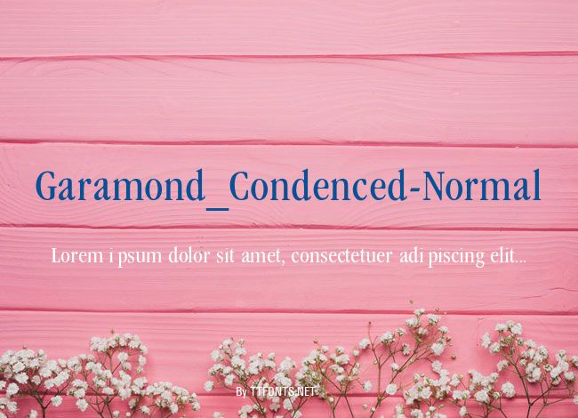 Garamond_Condenced-Normal example