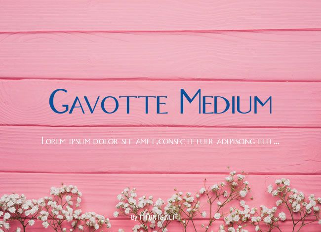 Gavotte Medium example