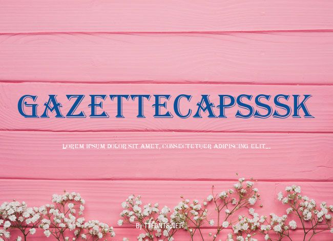 GazetteCapsSSK example