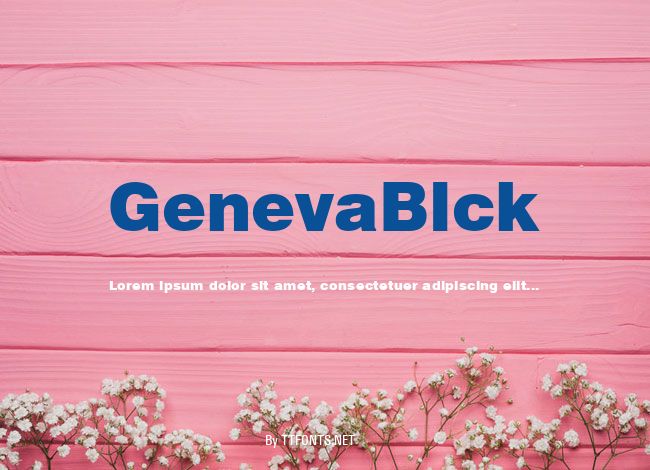 GenevaBlck example