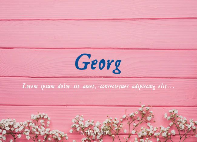 Georg example