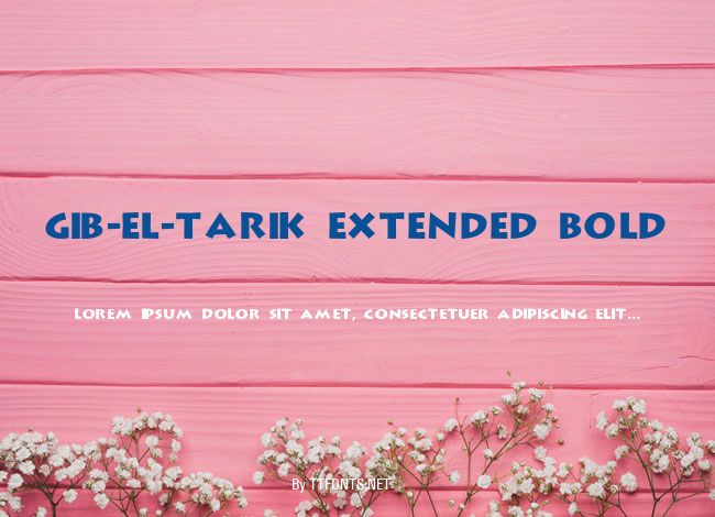 Gib-El-Tarik Extended Bold example