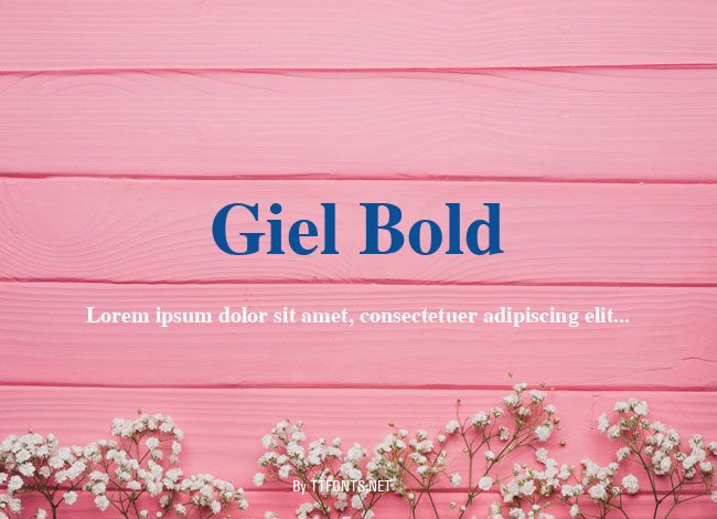 Giel Bold example