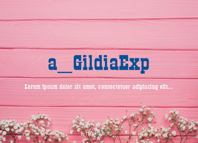 a_GildiaExp example