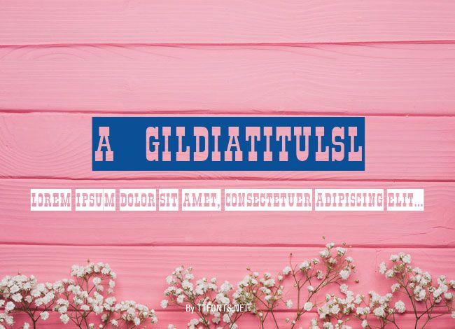 a_GildiaTitulSl example