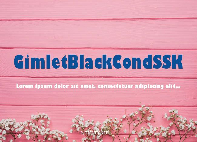 GimletBlackCondSSK example