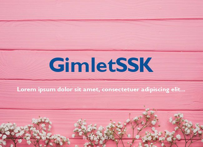 GimletSSK example