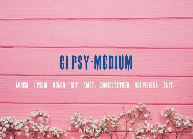 Gipsy-Medium example