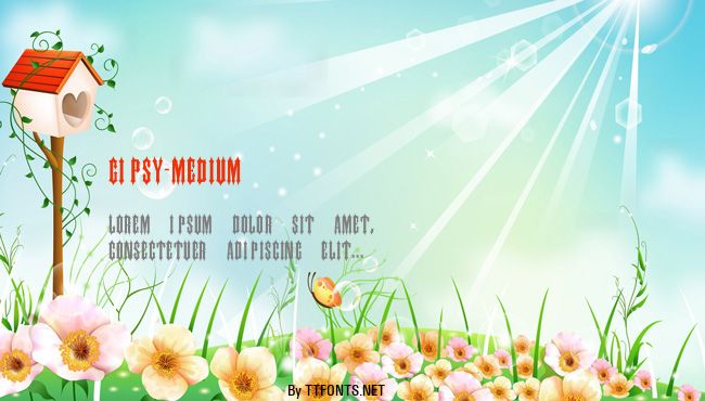 Gipsy-Medium example