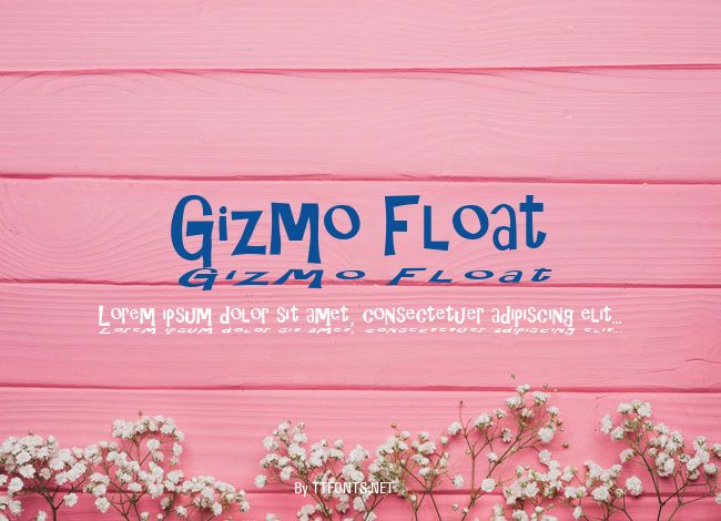 Gizmo Float example