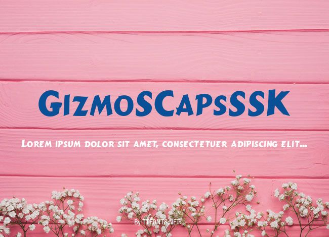 GizmoSCapsSSK example