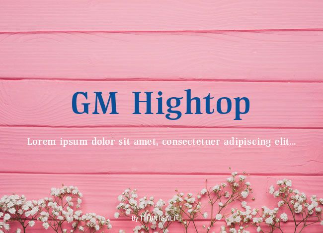 GM Hightop example