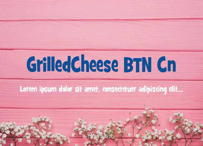 GrilledCheese BTN Cn example