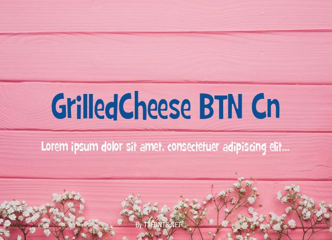 GrilledCheese BTN Cn example