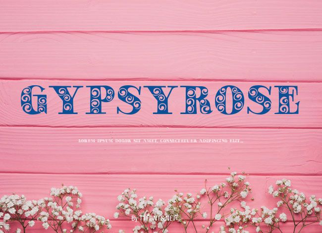 GypsyRose example