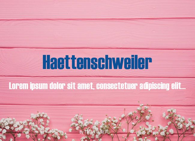 Haettenschweiler example