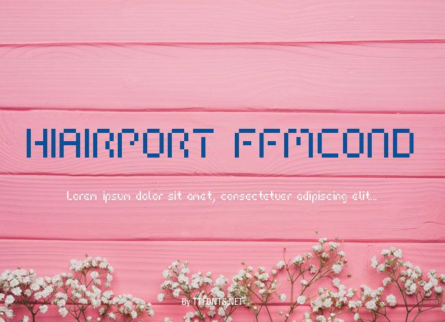 HIAIRPORT FFMCOND example