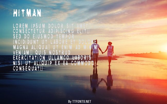 HITMAN example