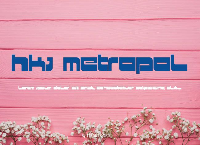 HKI metropol example