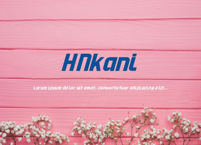 HNkani example