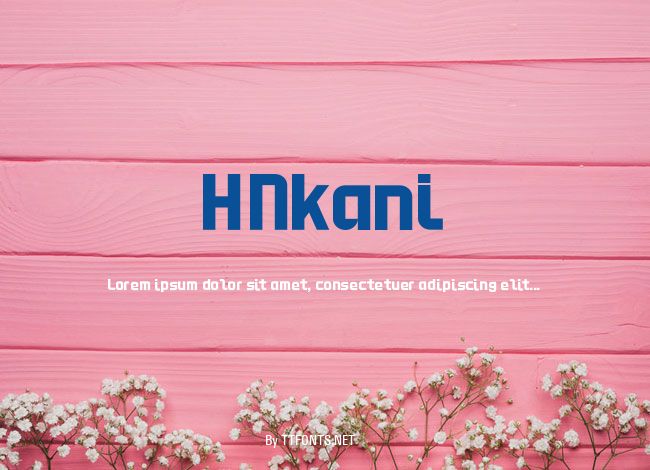 HNkani example