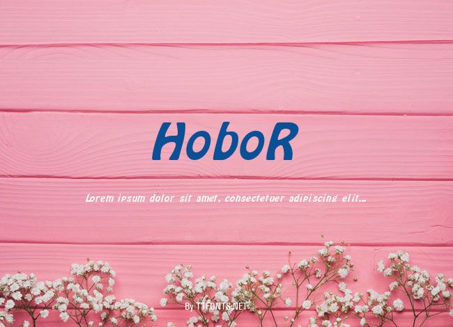 HoboR example
