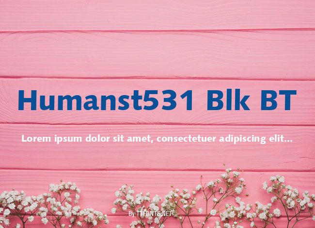 Humanst531 Blk BT example