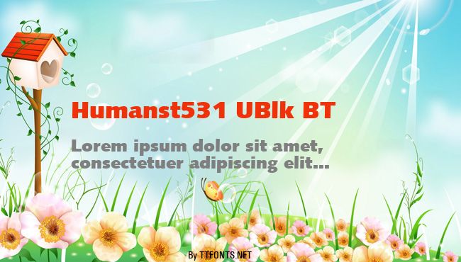 Humanst531 UBlk BT example