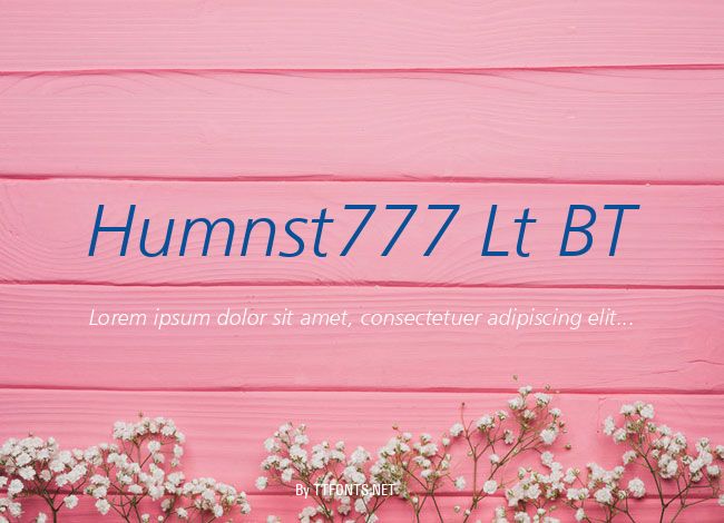 Humnst777 Lt BT example