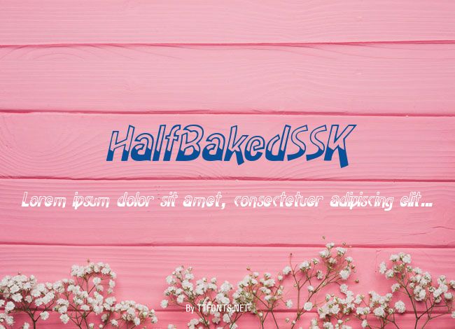 HalfBakedSSK example