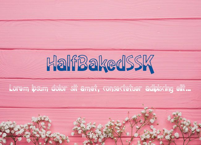HalfBakedSSK example
