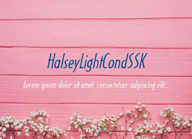HalseyLightCondSSK example