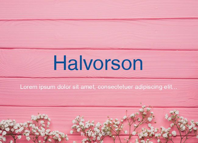 Halvorson example