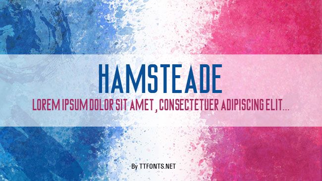 Hamsteade example